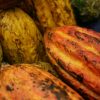 Organic Cocoa Beans