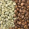 Organic Robusta Coffee Beans